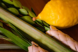 lulav and etrog